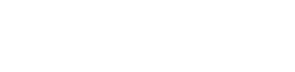 Align The Pieces By Lanny J.